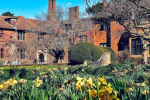 Seckford Hall Daffodils